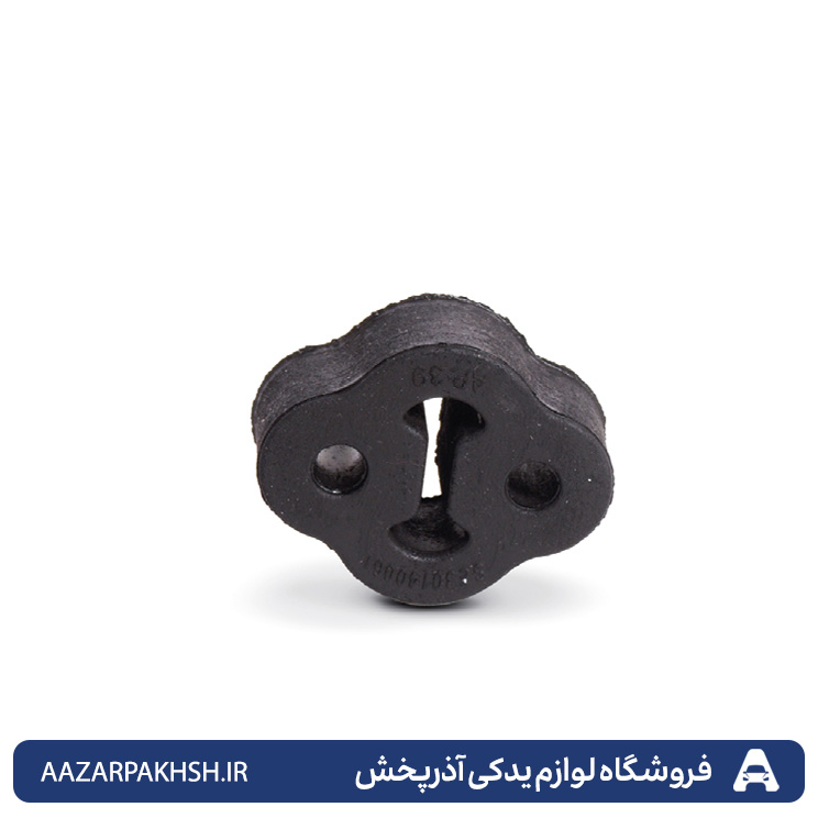 منجیل اگزوز تیبا و پراید-دوستان