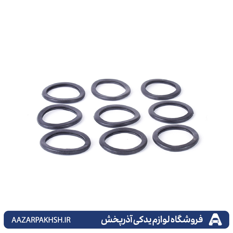 اورینگ ترموستات پرایدیورو4-دوستان