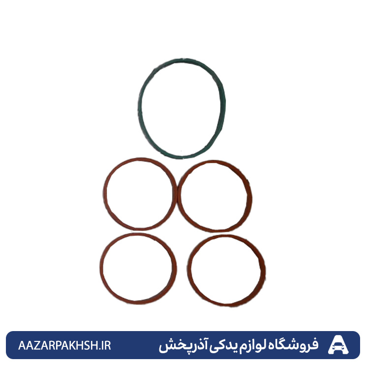 واشر منیفولد هوا (دست کامل) پژو 206 و 207 تیپ 5 و 6  و 405 (SLX) و پارس (TU5)  و رانا GISP