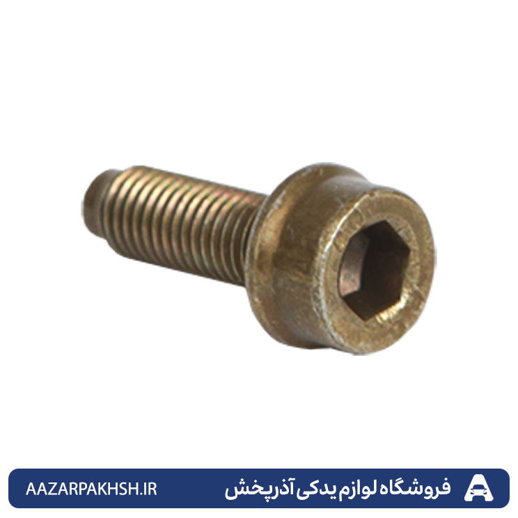 پیچ دور کارتل پژو20*7 الن - 405 - پارس - سمند GISP